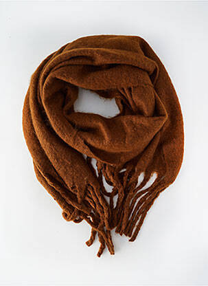 Echarpe marron ACCESS femme