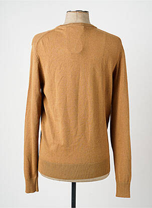 Pull marron PRIVATE BLUE homme