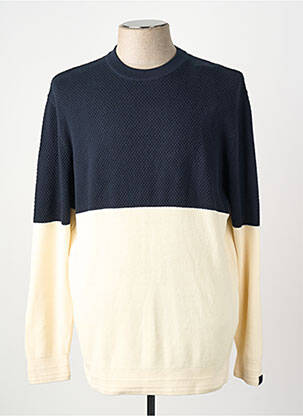 Pull bleu TOM TAILOR homme