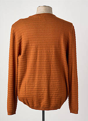 Pull marron PETROL INDUSTRIES homme