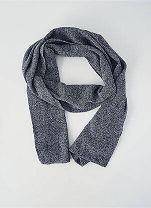 Echarpe bleu PETROL INDUSTRIES homme