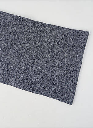 Echarpe bleu PETROL INDUSTRIES homme
