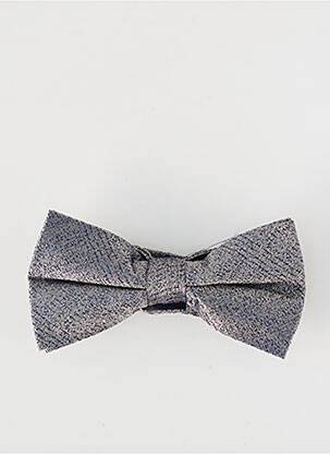 Noeud papillon gris LE FABULEUX MARCEL DE BRUXELLES homme