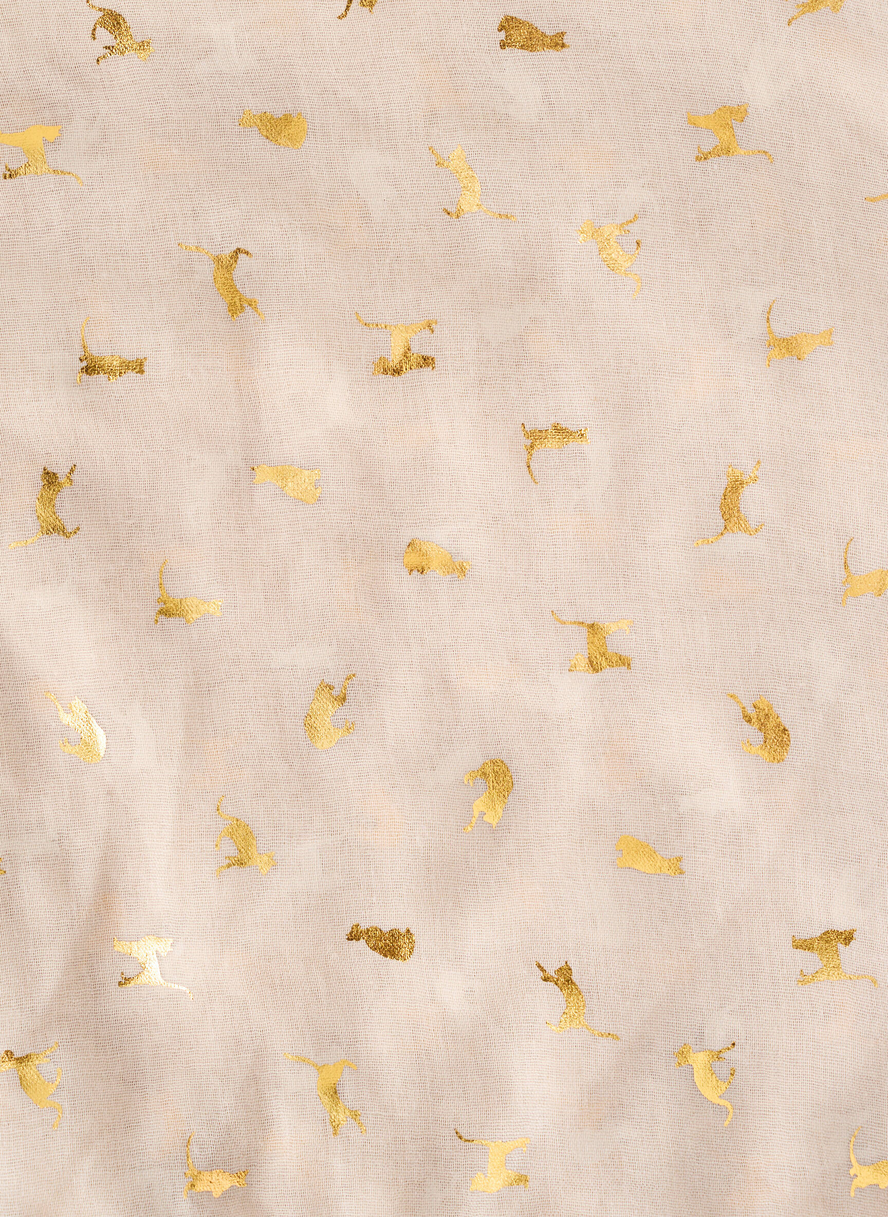 Foulard beige ACCESS femme