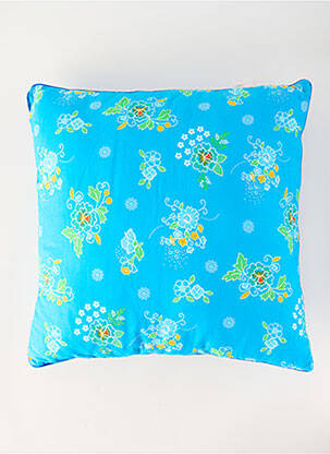 Divers maison bleu PETIT PAN enfant