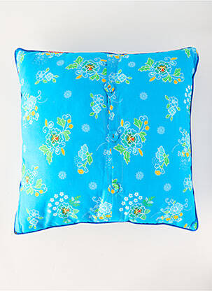 Divers maison bleu PETIT PAN enfant